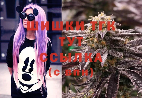 соль ск Россошь