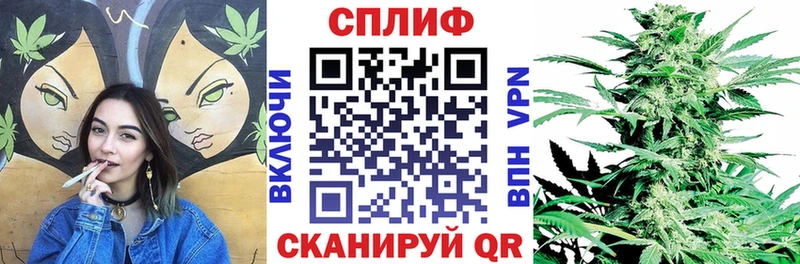 Каннабис конопля  Купить где  Северская 
